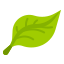 hoja (1)
