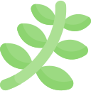 hoja